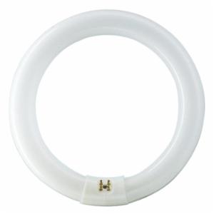 Philips 391169 - FC8T9/COOL WHITE PLUS